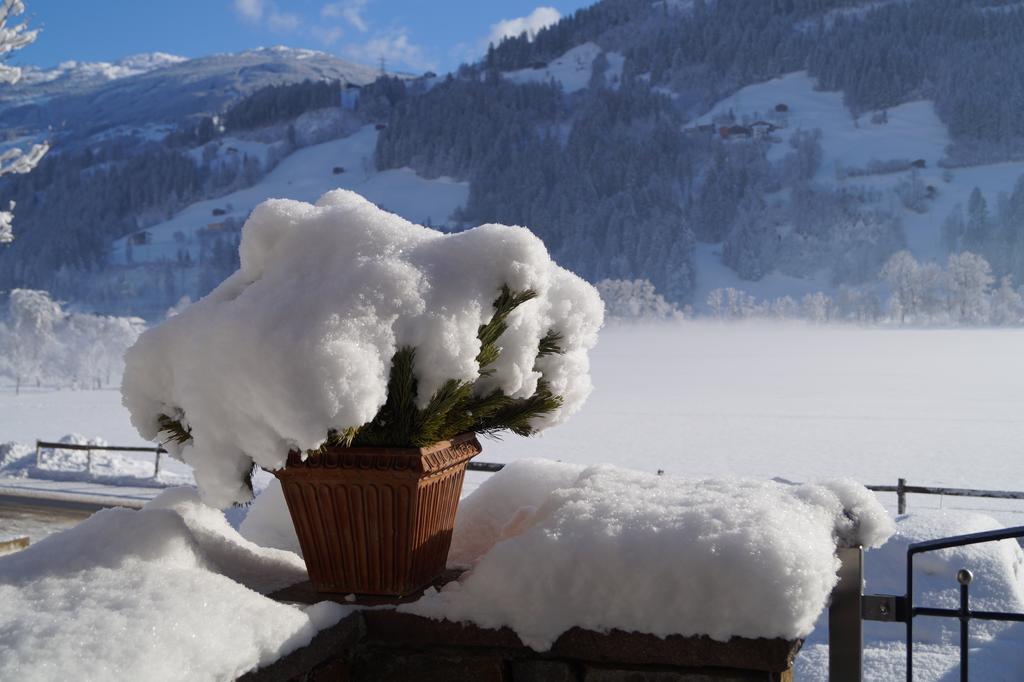 Appartement Aloisia *